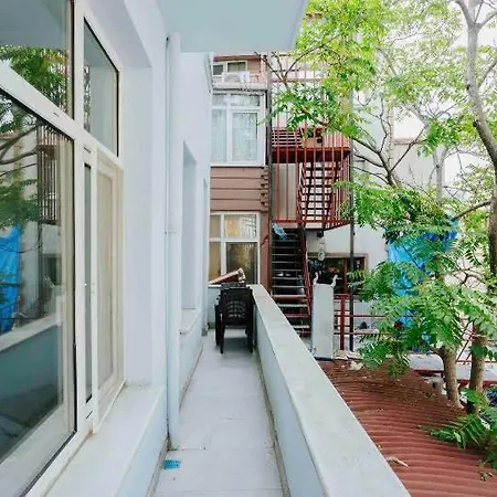 بيت شباب Windrose *