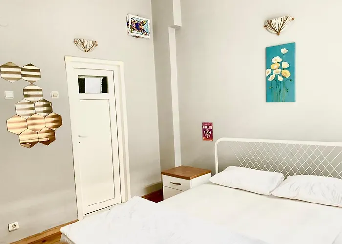 Windrose بيت شباب