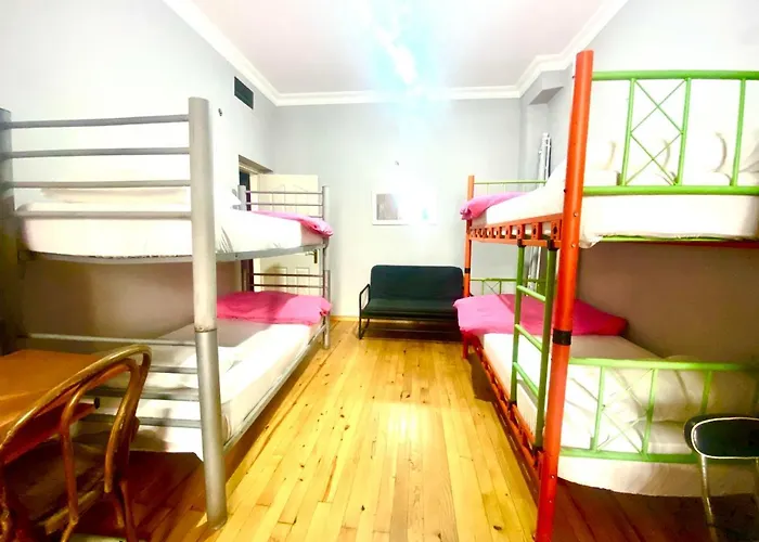 Windrose بيت شباب