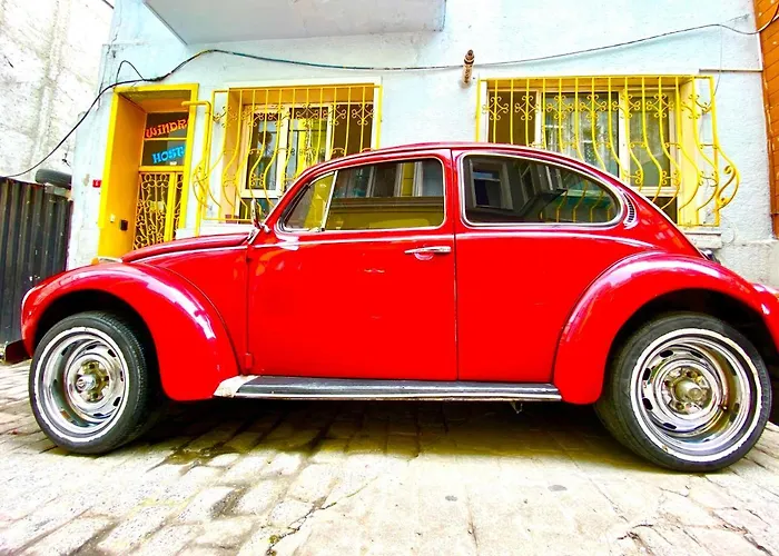 Windrose بيت شباب اسطنبول